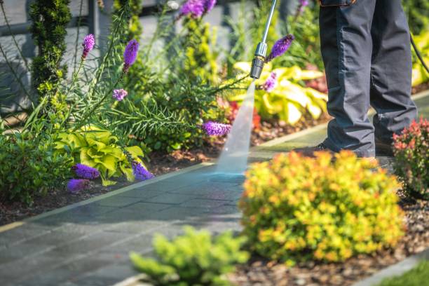 Best Residential Pressure Washing in South Whitley, IN