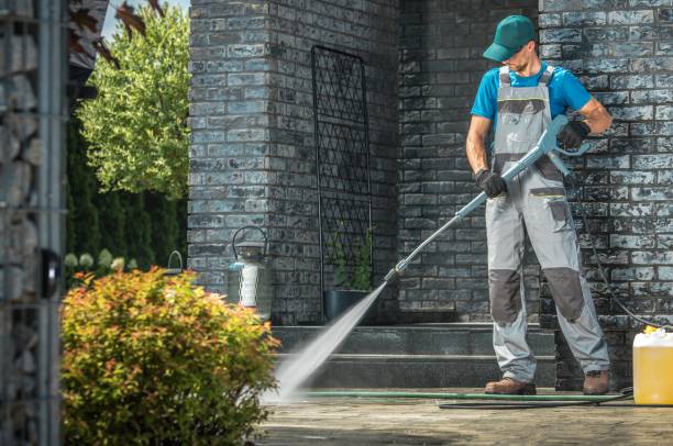 Best Window and Screen Pressure Cleaning in South Whitley, IN